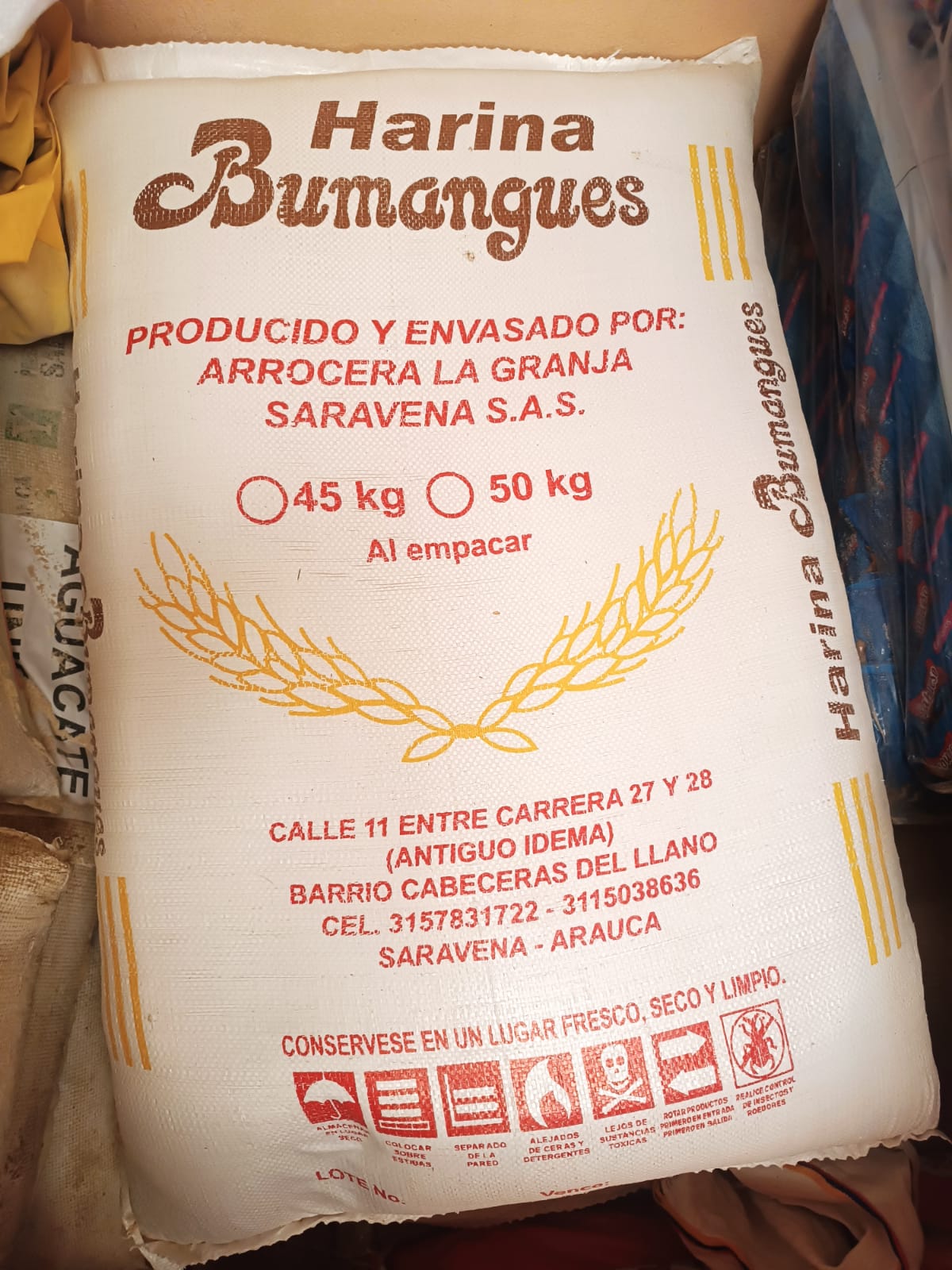 Imagen